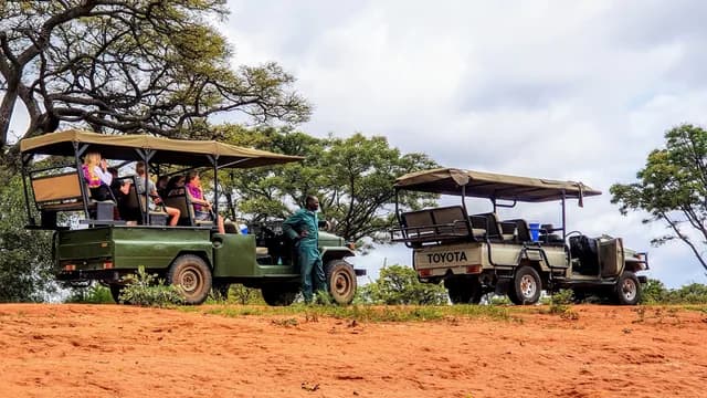 Multi-Generational Open Cruiser Safari Game Drive