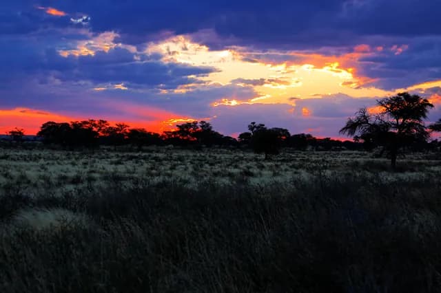 Blazing Twilight Sunset Over Untamed Kalahari Horizon