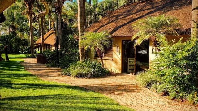 Luxury Thatched En-Suite Chalets Surrounded by Wild Bush