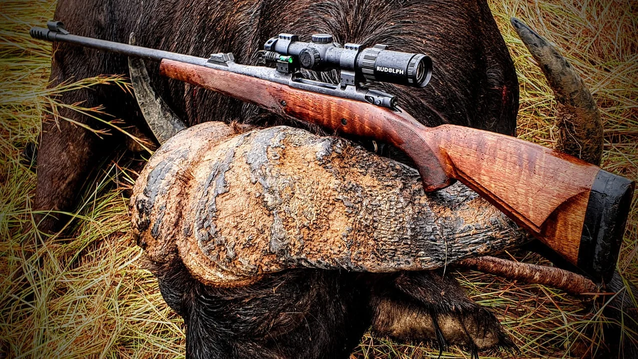 Ethical Wildlife Conservation in African Bushveld